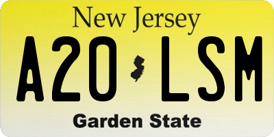 NJ license plate A20LSM