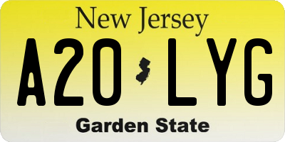 NJ license plate A20LYG