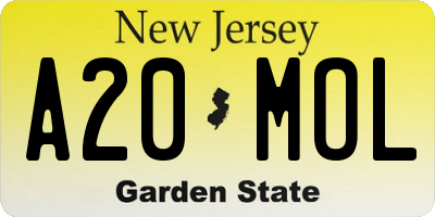 NJ license plate A20MOL