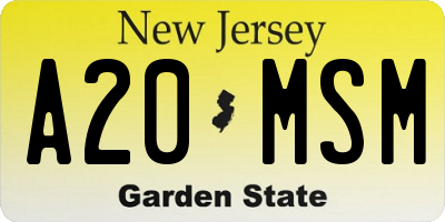NJ license plate A20MSM