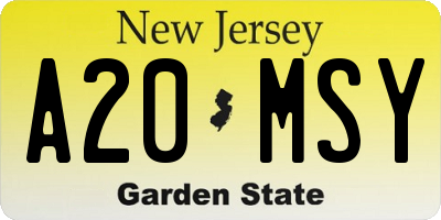 NJ license plate A20MSY
