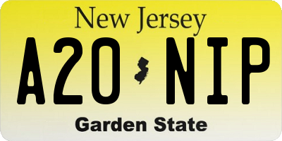 NJ license plate A20NIP