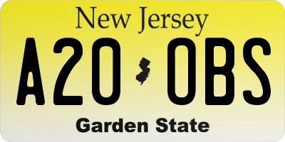 NJ license plate A20OBS