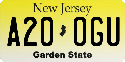 NJ license plate A20OGU
