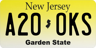 NJ license plate A20OKS