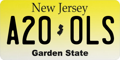 NJ license plate A20OLS
