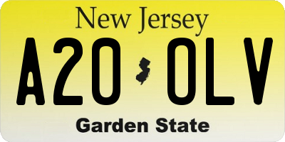 NJ license plate A20OLV
