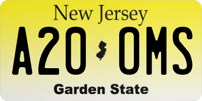 NJ license plate A20OMS
