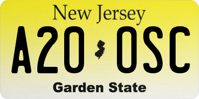 NJ license plate A20OSC