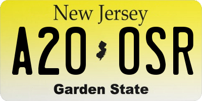 NJ license plate A20OSR
