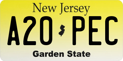 NJ license plate A20PEC