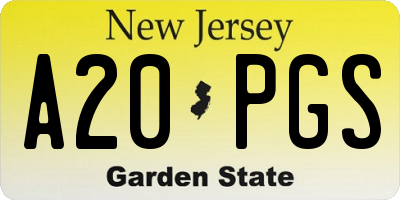 NJ license plate A20PGS