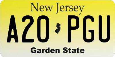 NJ license plate A20PGU