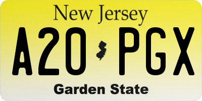 NJ license plate A20PGX
