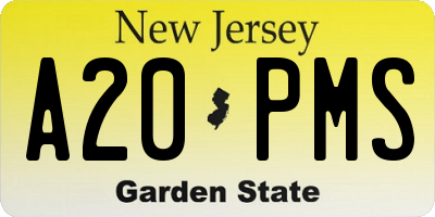 NJ license plate A20PMS