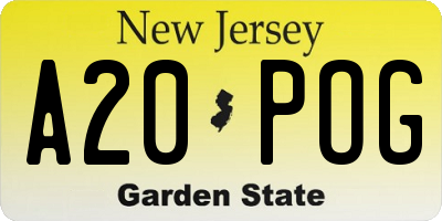 NJ license plate A20POG