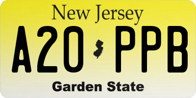 NJ license plate A20PPB