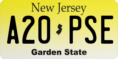 NJ license plate A20PSE