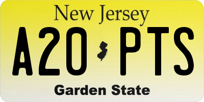 NJ license plate A20PTS