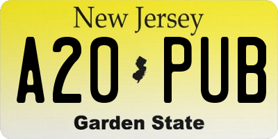 NJ license plate A20PUB