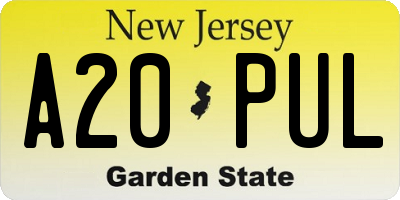 NJ license plate A20PUL