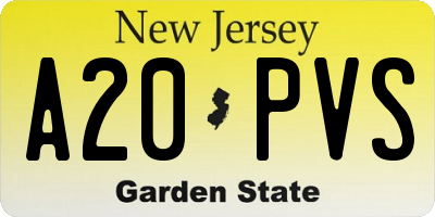 NJ license plate A20PVS