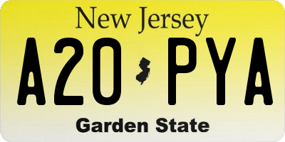 NJ license plate A20PYA