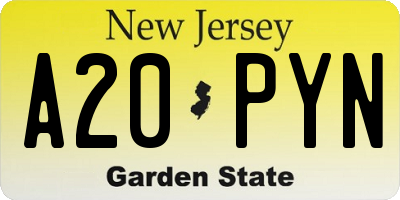 NJ license plate A20PYN