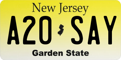 NJ license plate A20SAY