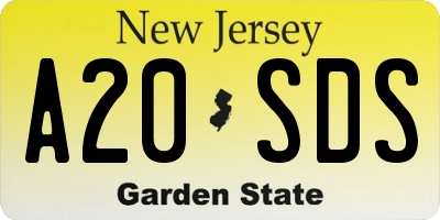 NJ license plate A20SDS
