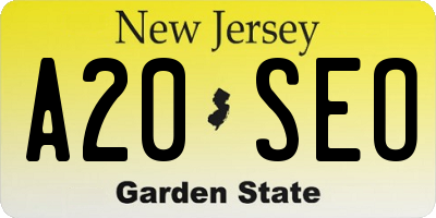 NJ license plate A20SEO