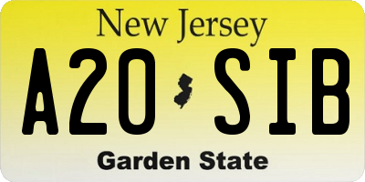 NJ license plate A20SIB