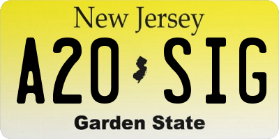 NJ license plate A20SIG