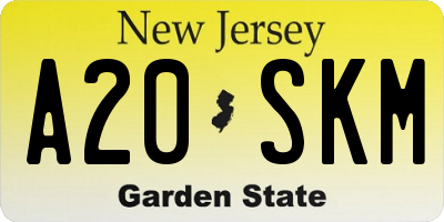 NJ license plate A20SKM