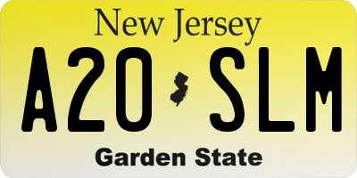 NJ license plate A20SLM