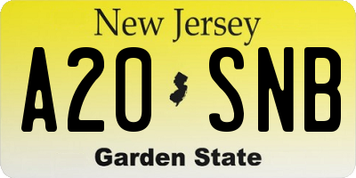 NJ license plate A20SNB