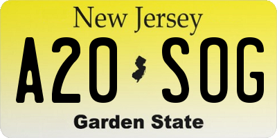 NJ license plate A20SOG