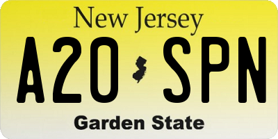 NJ license plate A20SPN