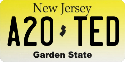 NJ license plate A20TED