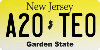 NJ license plate A20TEO