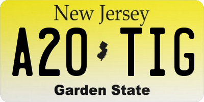 NJ license plate A20TIG