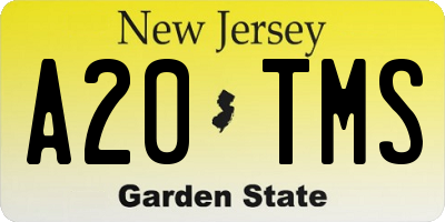 NJ license plate A20TMS