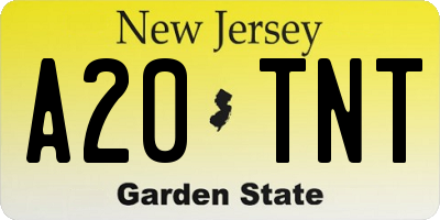 NJ license plate A20TNT