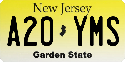 NJ license plate A20YMS