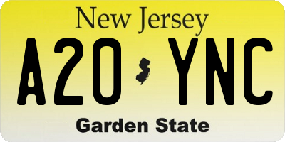 NJ license plate A20YNC