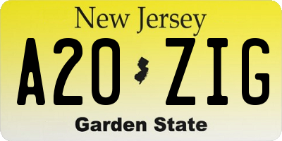 NJ license plate A20ZIG