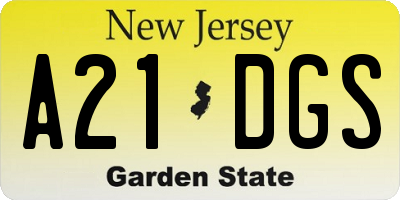 NJ license plate A21DGS