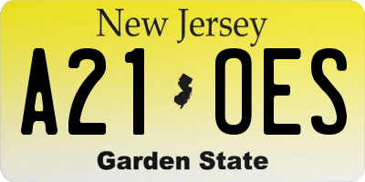 NJ license plate A21OES