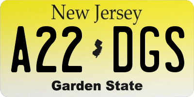 NJ license plate A22DGS