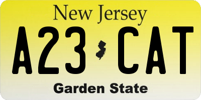 NJ license plate A23CAT